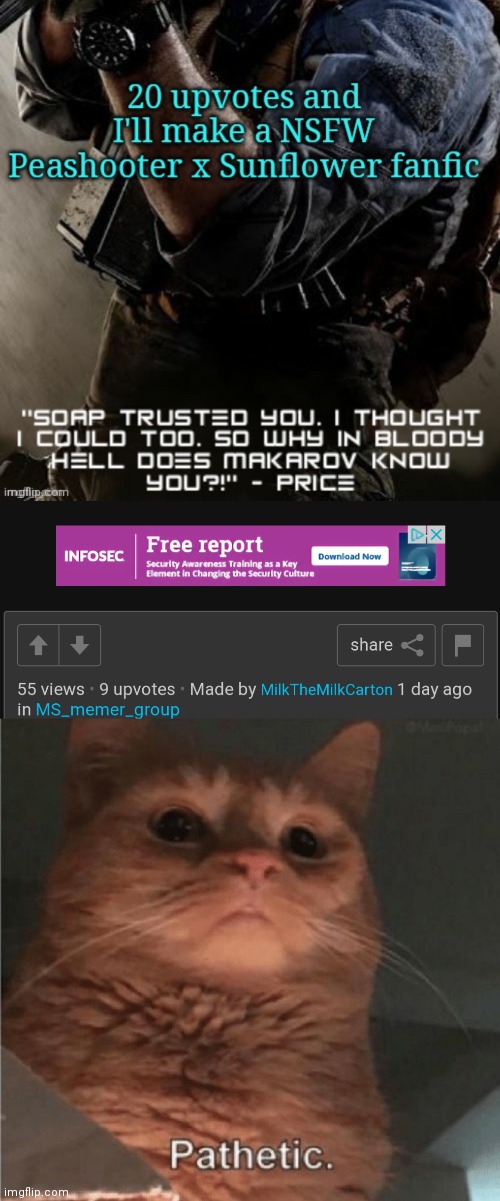 image tagged in pathetic cat | made w/ Imgflip meme maker