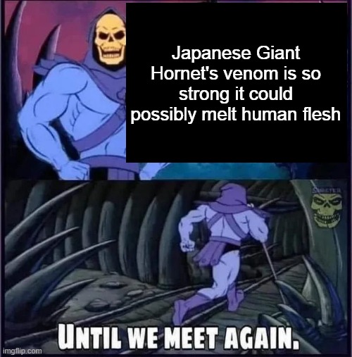 Until we meet again | Japanese Giant Hornet's venom is so strong it could possibly melt human flesh | image tagged in until we meet again | made w/ Imgflip meme maker