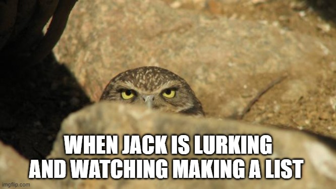 lurking | WHEN JACK IS LURKING AND WATCHING MAKING A LIST | image tagged in lurking | made w/ Imgflip meme maker