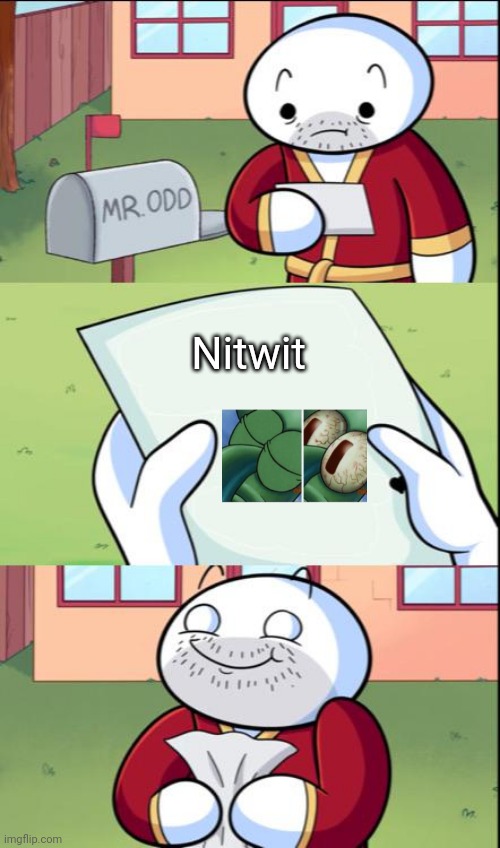 Squidward sends mail | Nitwit | image tagged in james gets mail,squidward | made w/ Imgflip meme maker