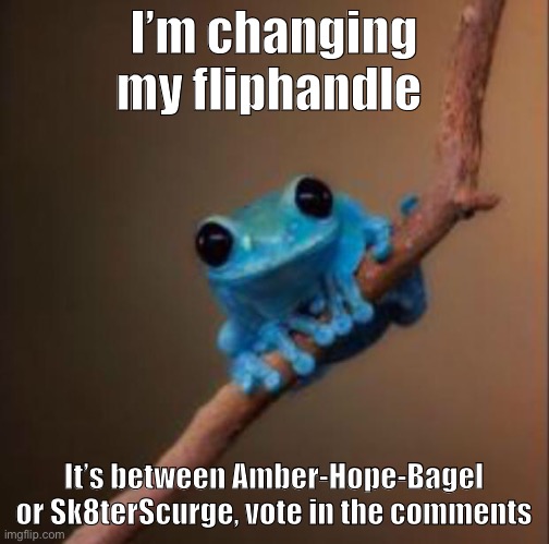 Small fact frog | I’m changing my fliphandle; It’s between Amber-Hope-Bagel or Sk8terScurge, vote in the comments | image tagged in small fact frog | made w/ Imgflip meme maker