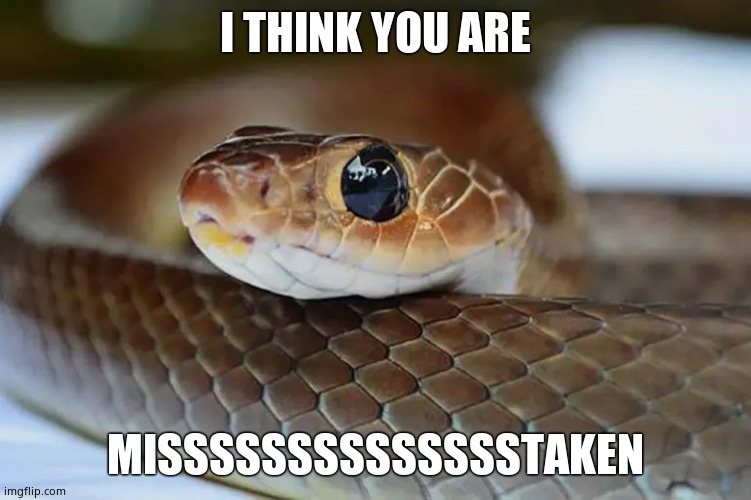 snek | I THINK YOU ARE MISSSSSSSSSSSSSSTAKEN | image tagged in snek | made w/ Imgflip meme maker