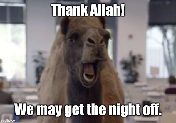 Hump Day Camel | Thank Allah! We may get the night off. | image tagged in hump day camel | made w/ Imgflip meme maker