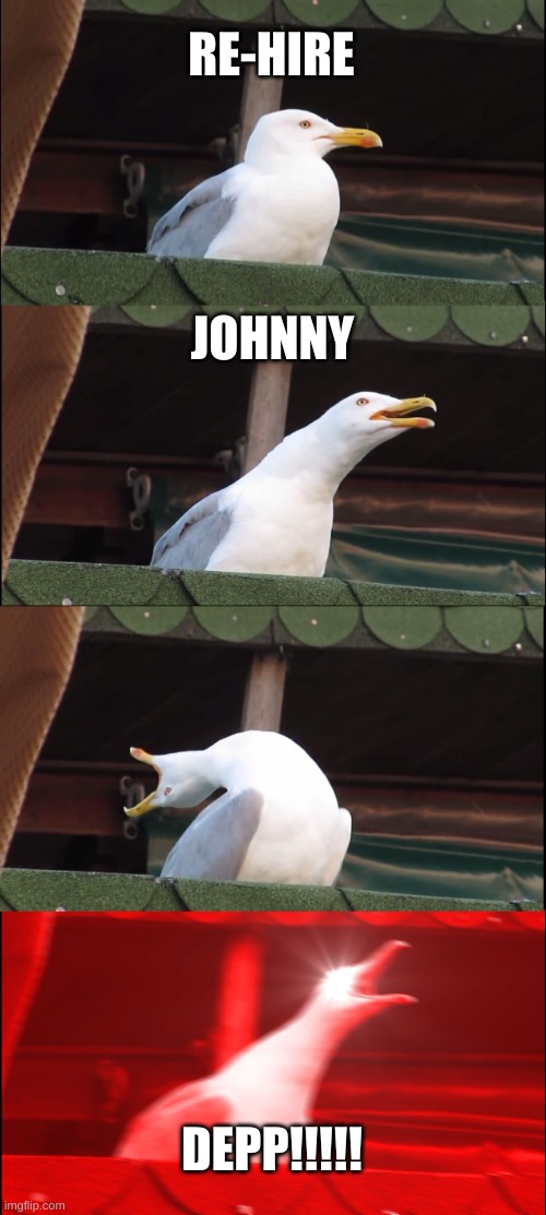 Inhaling Seagull | RE-HIRE; JOHNNY; DEPP!!!!! | image tagged in memes,inhaling seagull | made w/ Imgflip meme maker