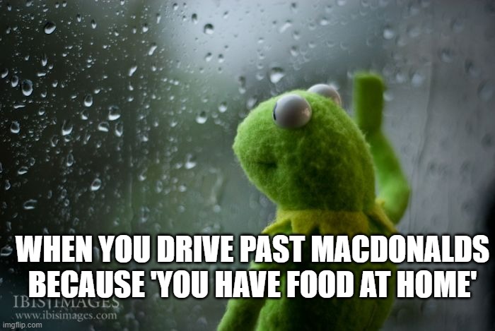 kermit window | WHEN YOU DRIVE PAST MACDONALDS BECAUSE 'YOU HAVE FOOD AT HOME' | image tagged in kermit window | made w/ Imgflip meme maker