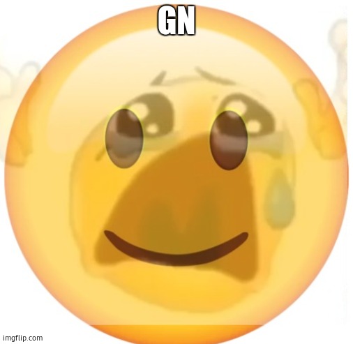 happy emoji on the outside, but crying on the inside | GN | image tagged in happy emoji on the outside but crying on the inside | made w/ Imgflip meme maker