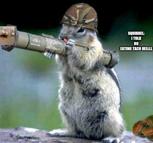 Bazooka Squirrel | SQUIRREL:
I TOLD NO EATING TACO BELLLL | image tagged in memes,bazooka squirrel | made w/ Imgflip meme maker