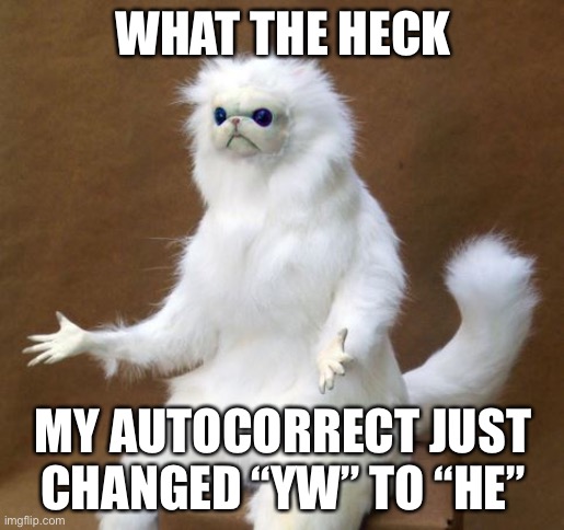 autocorrect sucks lol | WHAT THE HECK; MY AUTOCORRECT JUST CHANGED “YW” TO “HE” | image tagged in what the heck cat | made w/ Imgflip meme maker