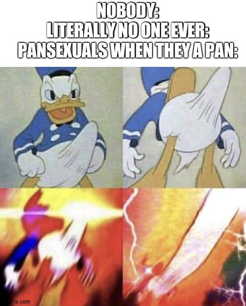 im back | NOBODY:
LITERALLY NO ONE EVER:
PANSEXUALS WHEN THEY A PAN: | image tagged in blank white template,donald duck erection | made w/ Imgflip meme maker