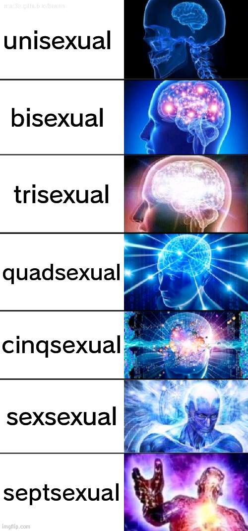 sexsexual | unisexual; bisexual; trisexual; quadsexual; cinqsexual; sexsexual; septsexual | image tagged in 7-tier expanding brain | made w/ Imgflip meme maker