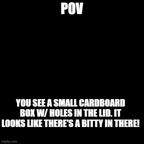 Bitty RP | POV; YOU SEE A SMALL CARDBOARD BOX W/ HOLES IN THE LID. IT LOOKS LIKE THERE'S A BITTY IN THERE! | image tagged in cute as heck | made w/ Imgflip meme maker