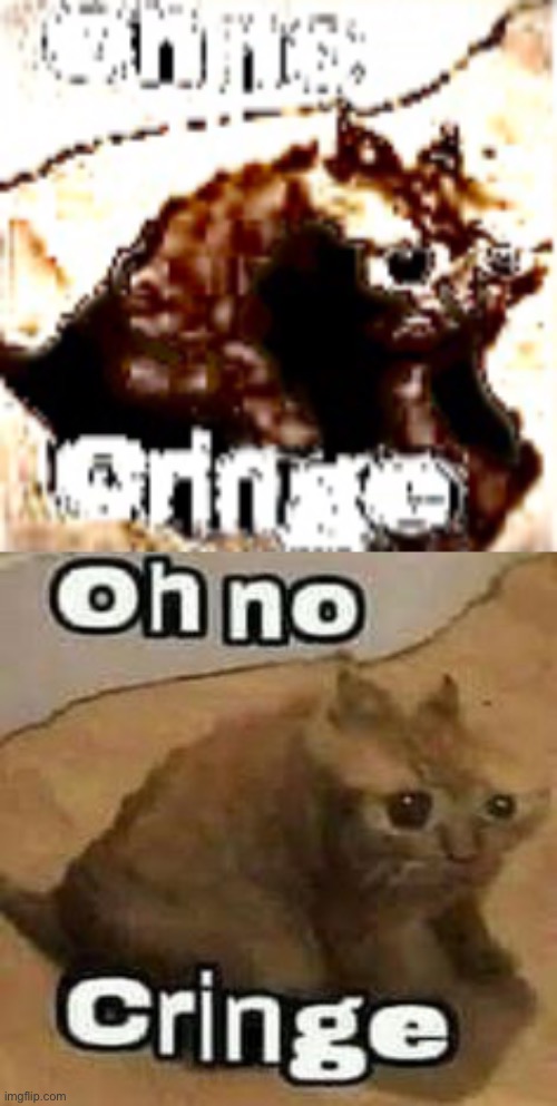 Comparison | image tagged in deep fried cringe cat,oh no cringe | made w/ Imgflip meme maker