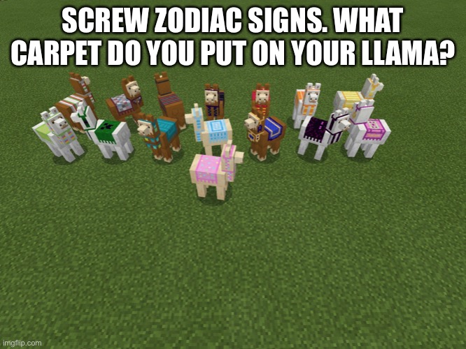 llamas my beloved | SCREW ZODIAC SIGNS. WHAT CARPET DO YOU PUT ON YOUR LLAMA? | image tagged in llama,minecraft | made w/ Imgflip meme maker