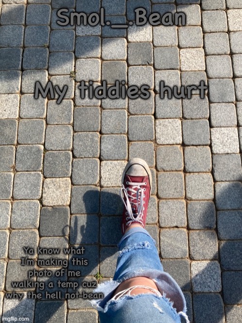 Idk | My tiddies hurt | image tagged in beans foot temp | made w/ Imgflip meme maker