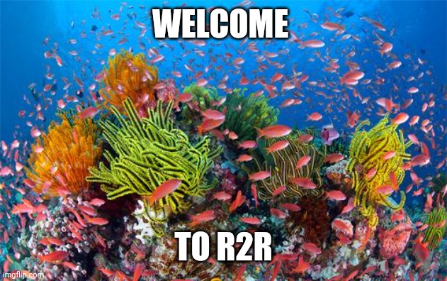 Great Barrier Reef | WELCOME; TO R2R | image tagged in great barrier reef | made w/ Imgflip meme maker