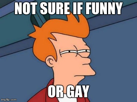 NOT SURE IF FUNNY OR GAY | image tagged in memes,futurama fry | made w/ Imgflip meme maker