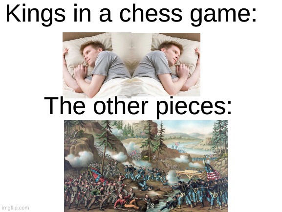 The facts in Chess | Kings in a chess game:; The other pieces: | image tagged in blank white template,chess,memes,funny,oh wow are you actually reading these tags,i bet he's thinking about other women | made w/ Imgflip meme maker