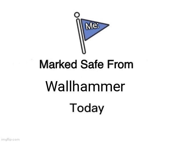 Marked Safe From Meme | Me:; Wallhammer | image tagged in memes,marked safe from | made w/ Imgflip meme maker