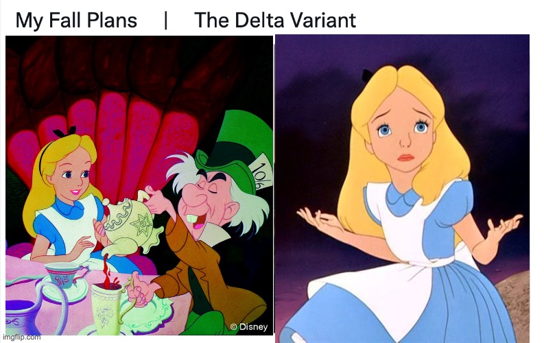 Alice's Fall Plans | image tagged in delta variant memes | made w/ Imgflip meme maker