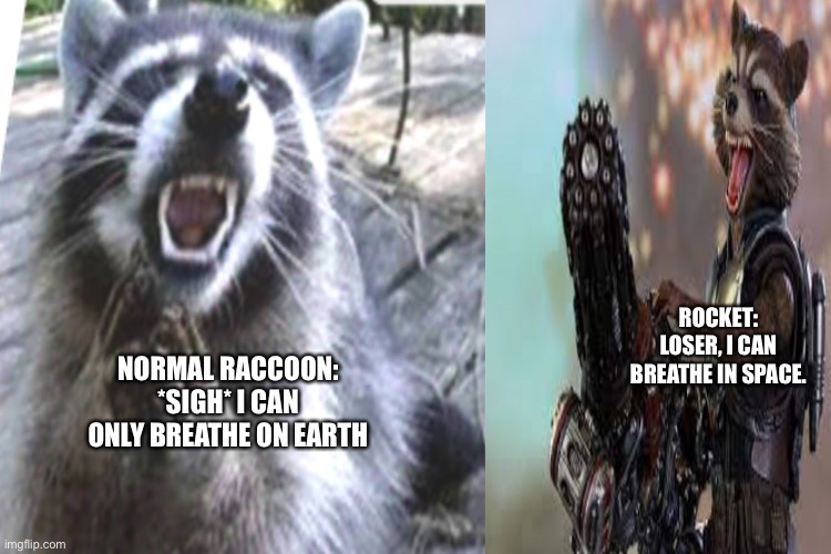 Losers | ROCKET: LOSER, I CAN BREATHE IN SPACE. NORMAL RACCOON: *SIGH* I CAN ONLY BREATHE ON EARTH | image tagged in rocket raccoon | made w/ Imgflip meme maker