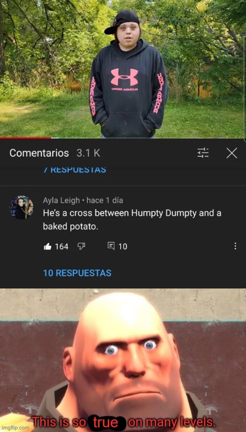 he looks like a bootleg humpty dumpty if he fell off the wall countless times | image tagged in this is so true on so many levels,memes,unfunny | made w/ Imgflip meme maker