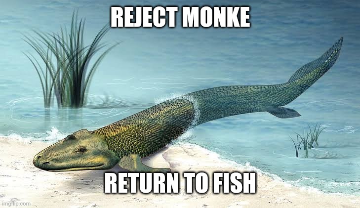 REJECT MONKE; RETURN TO FISH | image tagged in fish | made w/ Imgflip meme maker