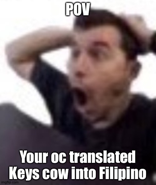 POV; Your oc translated Keys cow into Filipino | made w/ Imgflip meme maker