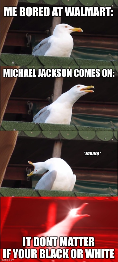 you can be my baby it don’t matter if your black or white | ME BORED AT WALMART:; MICHAEL JACKSON COMES ON:; *inhale*; IT DONT MATTER IF YOUR BLACK OR WHITE | image tagged in memes,inhaling seagull | made w/ Imgflip meme maker
