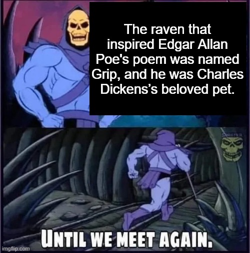 Until we meet again. | The raven that inspired Edgar Allan Poe's poem was named Grip, and he was Charles Dickens’s beloved pet. | image tagged in until we meet again | made w/ Imgflip meme maker