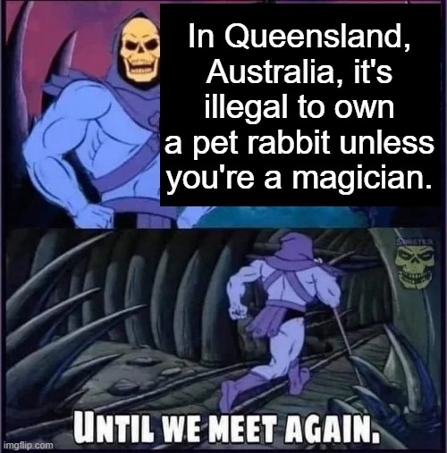 Until we meet again. | In Queensland, Australia, it's illegal to own a pet rabbit unless you're a magician. | image tagged in until we meet again | made w/ Imgflip meme maker