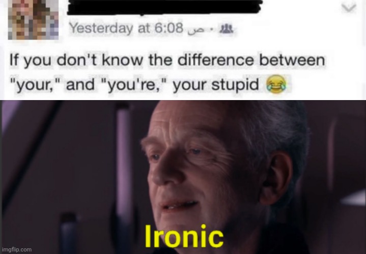 Stupidity & Irony | image tagged in palpatine ironic text,funny,memes,funny memes,ironic,lol | made w/ Imgflip meme maker