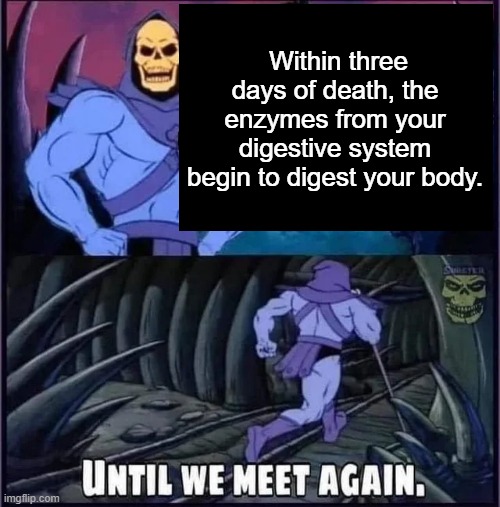 Until we meet again. | Within three days of death, the enzymes from your digestive system begin to digest your body. | image tagged in until we meet again | made w/ Imgflip meme maker