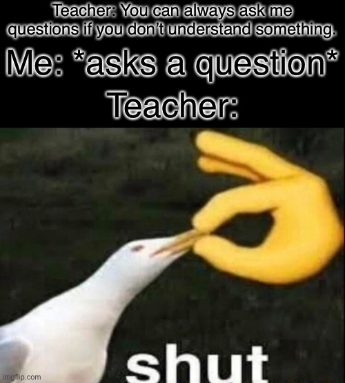SHUT | Teacher: You can always ask me questions if you don’t understand something. Me: *asks a question*; Teacher: | image tagged in shut | made w/ Imgflip meme maker