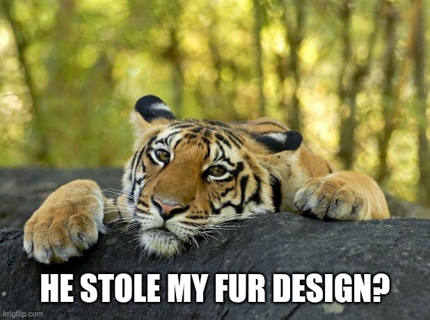 Confession Tiger | HE STOLE MY FUR DESIGN? | image tagged in confession tiger | made w/ Imgflip meme maker