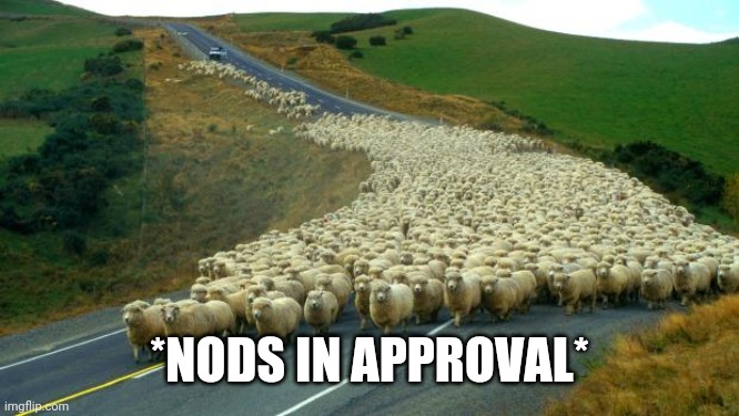 sheep | *NODS IN APPROVAL* | image tagged in sheep | made w/ Imgflip meme maker