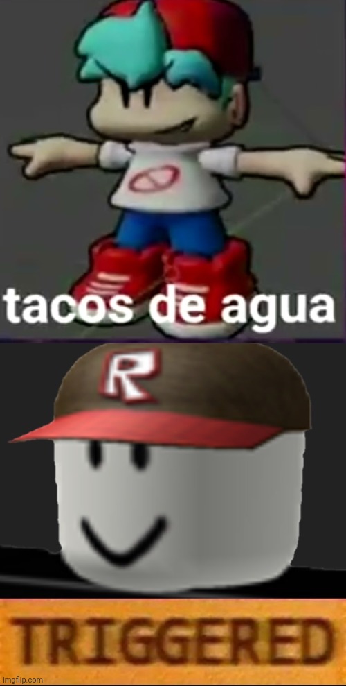 How can tacos de agua trigger you | image tagged in roblox triggered,tacos de agua | made w/ Imgflip meme maker