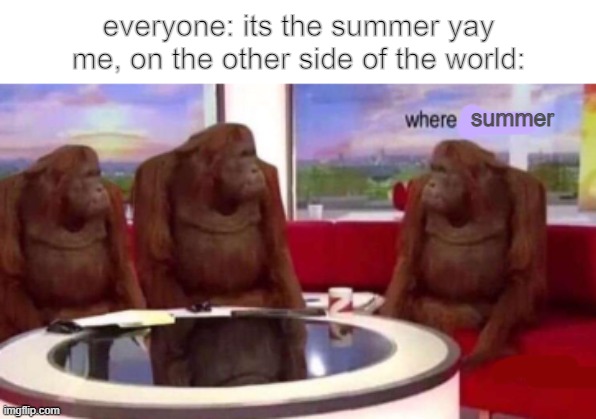 Where banana blank |  everyone: its the summer yay
me, on the other side of the world:; summer | image tagged in where banana blank | made w/ Imgflip meme maker