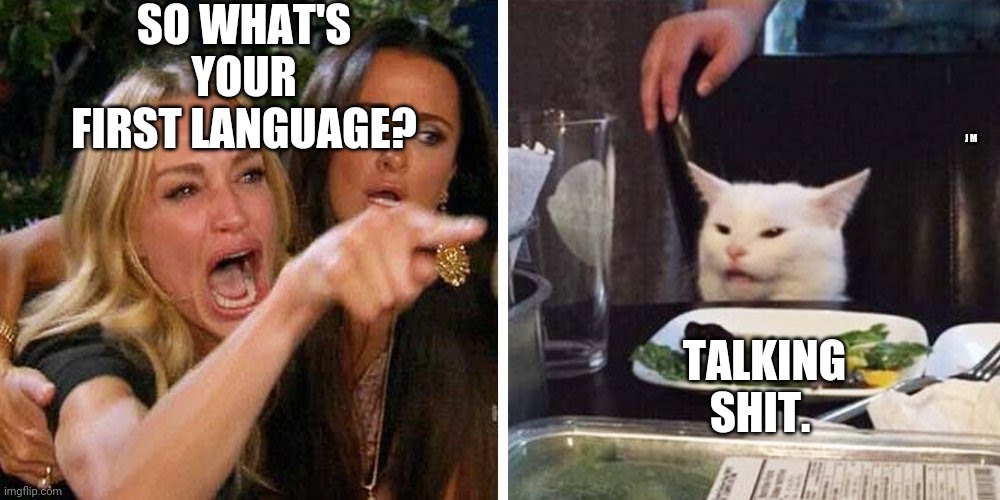 Smudge the cat | SO WHAT'S YOUR FIRST LANGUAGE? J M; TALKING SHIT. | image tagged in smudge the cat | made w/ Imgflip meme maker