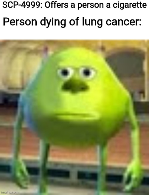 Sully Wazowski | SCP-4999: Offers a person a cigarette; Person dying of lung cancer: | image tagged in sully wazowski,scp,scp meme | made w/ Imgflip meme maker