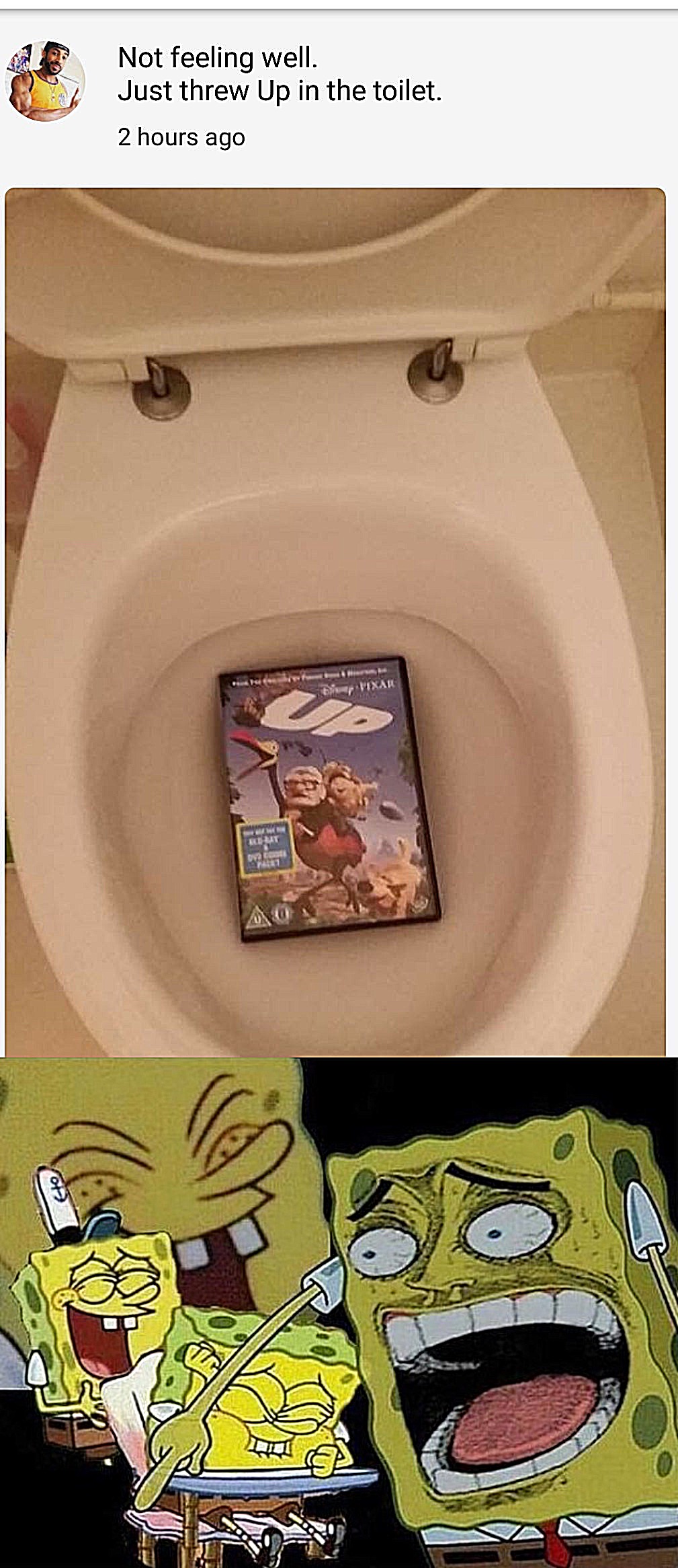 Threw UP in the toilet | image tagged in spongebob laughing hysterically,memes,funny,funny memes,dank memes,up | made w/ Imgflip meme maker