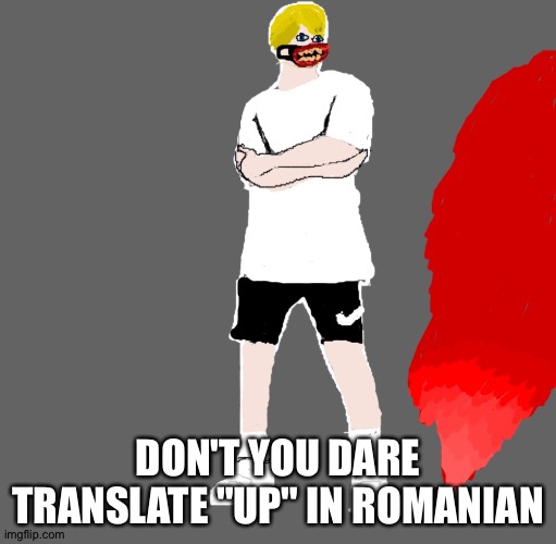 Chris (Blaziken's OC) | DON'T YOU DARE TRANSLATE "UP" IN ROMANIAN | image tagged in chris blaziken's oc | made w/ Imgflip meme maker