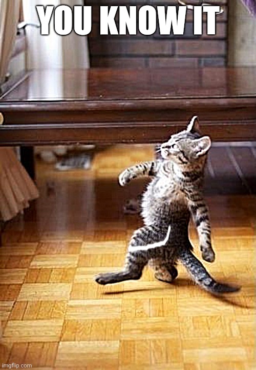 Cool Cat Stroll Meme | YOU KNOW IT | image tagged in memes,cool cat stroll | made w/ Imgflip meme maker