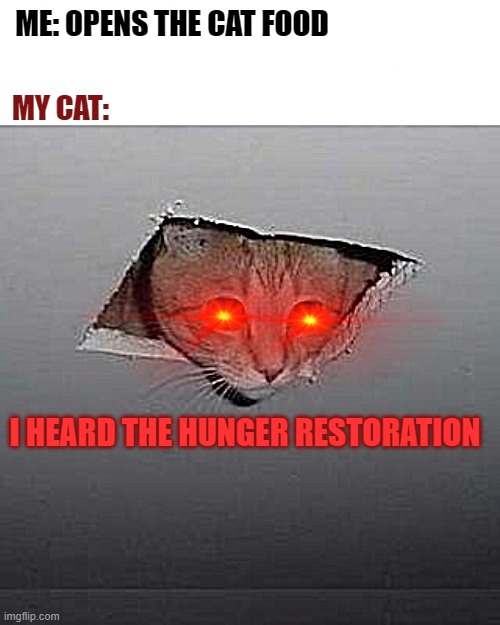 Cat food | ME: OPENS THE CAT FOOD; MY CAT:; I HEARD THE HUNGER RESTORATION | image tagged in memes,ceiling cat,hell,cat memes | made w/ Imgflip meme maker