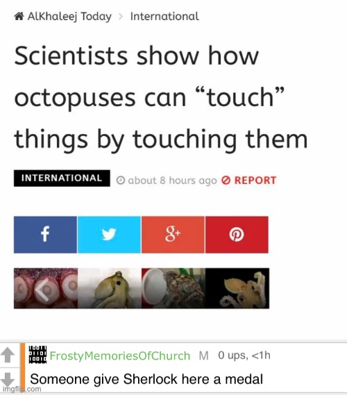 Wow, who would've guessed?! | image tagged in someone give sherlock here a medal,memes,unfunny | made w/ Imgflip meme maker