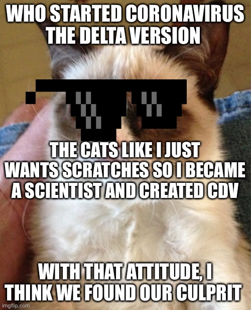 Coronavirus 2.0 | WHO STARTED CORONAVIRUS THE DELTA VERSION; THE CATS LIKE I JUST WANTS SCRATCHES SO I BECAME A SCIENTIST AND CREATED CDV; WITH THAT ATTITUDE, I THINK WE FOUND OUR CULPRIT | image tagged in memes,grumpy cat | made w/ Imgflip meme maker