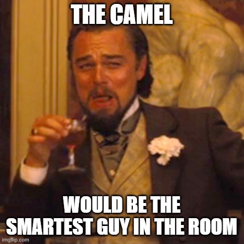 Laughing Leo Meme | THE CAMEL WOULD BE THE SMARTEST GUY IN THE ROOM | image tagged in memes,laughing leo | made w/ Imgflip meme maker