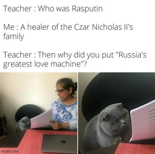 Random Memeo | image tagged in cats,cat,smart,teacher,fun,funny | made w/ Imgflip meme maker