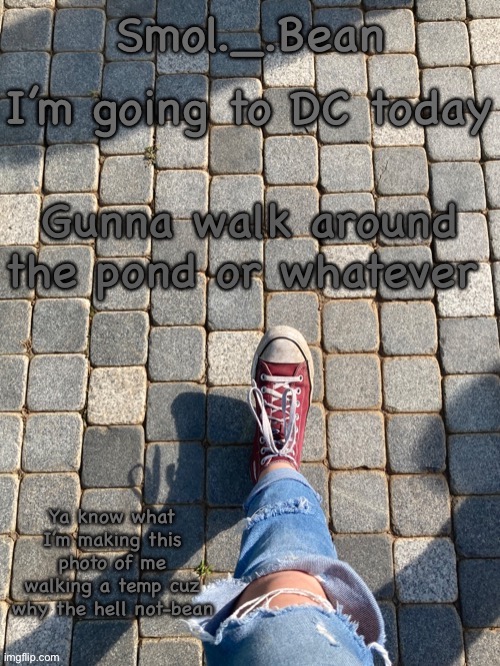 Idfk | I’m going to DC today; Gunna walk around the pond or whatever | image tagged in beans foot temp | made w/ Imgflip meme maker