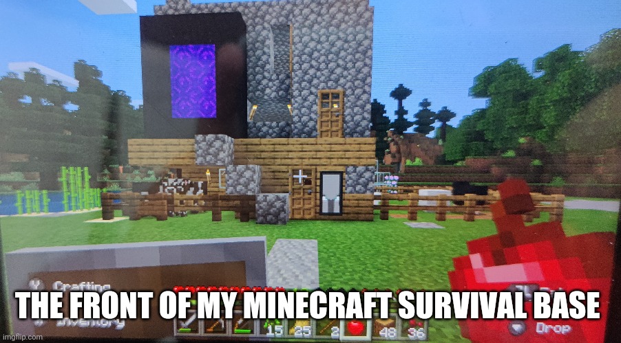 Idk | THE FRONT OF MY MINECRAFT SURVIVAL BASE | made w/ Imgflip meme maker