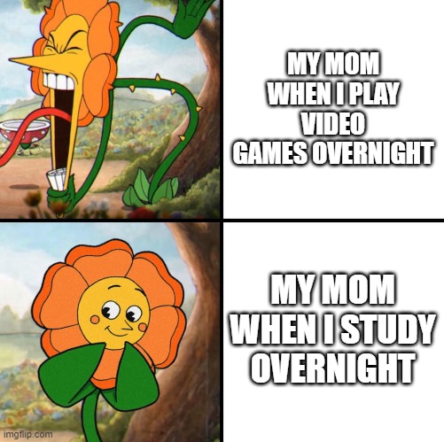 It happens |  MY MOM WHEN I PLAY VIDEO GAMES OVERNIGHT; MY MOM WHEN I STUDY OVERNIGHT | image tagged in angry flower | made w/ Imgflip meme maker